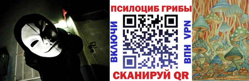 Псилоцибиновые грибы прущие грибы  Ядрин 